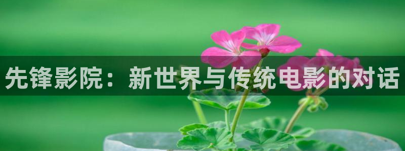木瓜電影播放器：先鋒影院：新世界與傳統電影的對話