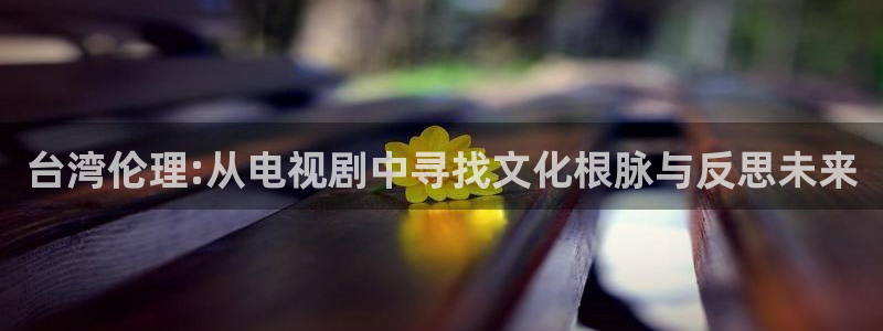 木瓜影視app下載：臺灣倫理:從電視劇中尋找文化根脈與反思未來