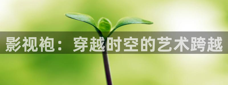 木瓜影院媽媽的朋友：影視袍：穿越時空的藝術跨越