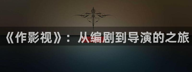 木瓜倫理影院：《作影視》：從編劇到導演的之旅